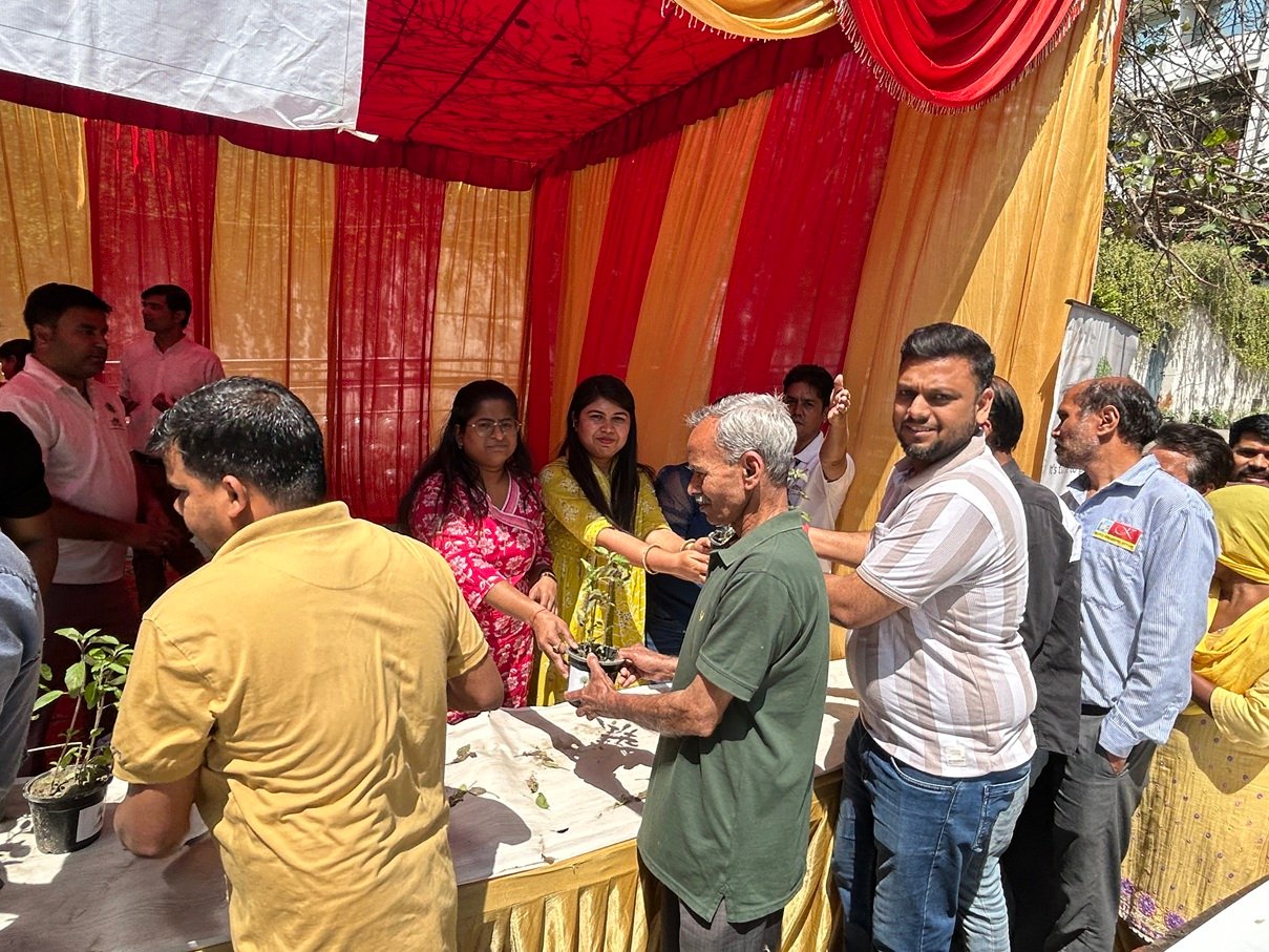 Plant Distribution Drive